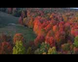    -  Artbeats - Fall Color Aerials HD Vol.2