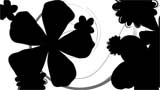    -  Digital Juice Editor's Themekit 61: Floral Flow
