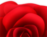    -  Digital Juice Editor's Themekit 71: Red Roses