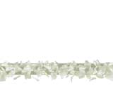    -  Digital Juice Editor's Themekit 123: Roses are White