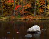 Artbeats - Fall Colors (PAL), ������, �������, �����, ��������
