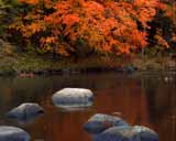 Artbeats - Fall Colors (PAL), ������, �������, �����, ��������