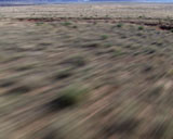 ArtBeats - Ground Rush 3 Southwest (NTSC), ������, �������, �����, ��������