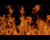 Artbeats - Reelfire HD, ������, �������, �����, ��������
