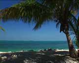 ArtBeats - Florida Beaches (V-Line) (NTSC), ������, �������, �����, ��������