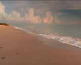 ArtBeats - Florida Beaches (V-Line) (NTSC), ������, �������, �����, ��������