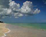 ArtBeats - Florida Beaches (V-Line) (NTSC), ������, �������, �����, ��������