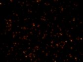 Artbeats - Particle Effects 1, ������, �������, �����, ��������