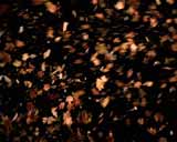 Artbeats - Mayhem PAL, ������, �������, �����, ��������