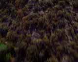 Artbeats - Ground Rush, ������, �������, �����, ��������