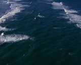 Artbeats - Coastal Aerials, ������, �������, �����, ��������