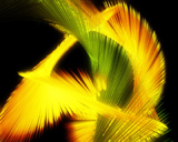 Artbeats - Code Rage NTSC, ������, �������, �����, ��������