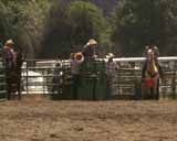 ArtBeats - Rodeo (NTSC), ������, �������, �����, ��������