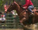 ArtBeats - Rodeo (NTSC), ������, �������, �����, ��������