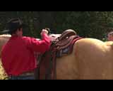 ArtBeats - Rodeo HD Vol.2, ������, �������, �����, ��������