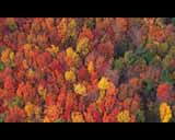 Artbeats - Fall Color Aerials HD Vol.2, , , , 