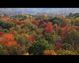 Artbeats - Fall Color Aerials HD Vol.2, , , , 