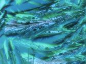 Artbeats - Crystal Effects, ������, �������, �����, ��������