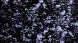Artbeats - Water Effects 1 HD, , , , 