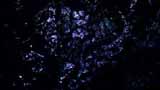 Artbeats - Water Effects 1 HD, ������, �������, �����, ��������