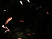 Artbeats - Ultra Nature, ������, �������, �����, ��������