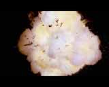 Artbeats - ReelExplosions HD, ������, �������, �����, ��������