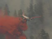 Artbeats - Forest Fire (V-Line), ������, �������, �����, ��������
