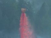Artbeats - Forest Fire (V-Line), ������, �������, �����, ��������