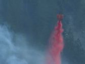 Artbeats - Forest Fire (V-Line), ������, �������, �����, ��������