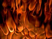 Artbeats - ReelFire 2, ������, �������, �����, ��������