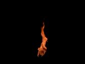 Artbeats - ReelFire 2, ������, �������, �����, ��������
