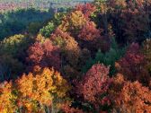Artbeats - Fall Color Aerials, ������, �������, �����, ��������