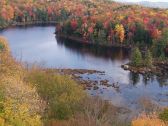 Artbeats - Fall Color Aerials, ������, �������, �����, ��������