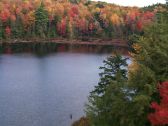 Artbeats - Fall Color Aerials, ������, �������, �����, ��������