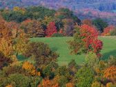 Artbeats - Fall Color Aerials, ������, �������, �����, ��������