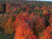 Artbeats - Fall Color Aerials, , , , 