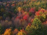 Artbeats - Fall Color Aerials, ������, �������, �����, ��������