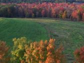 Artbeats - Fall Color Aerials, ������, �������, �����, ��������