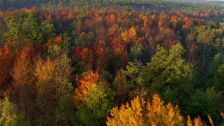 Artbeats - Fall Color Aerials HD, ������, �������, �����, ��������
