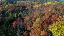 Artbeats - Fall Color Aerials HD, ������, �������, �����, ��������