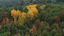 Artbeats - Fall Color Aerials HD, ������, �������, �����, ��������