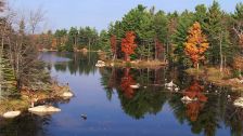 Artbeats - Fall Color Aerials HD, ������, �������, �����, ��������