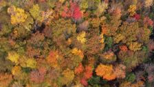 Artbeats - Fall Color Aerials HD, , , , 