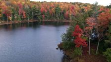 Artbeats - Fall Color Aerials HD, ������, �������, �����, ��������