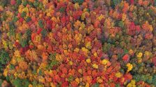 Artbeats - Fall Color Aerials HD, ������, �������, �����, ��������