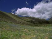 Artbeats - Timelapse Landscapes 3 PAL, ������, �������, �����, ��������
