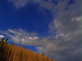 Artbeats - Timelapse Landscapes 3 PAL, ������, �������, �����, ��������