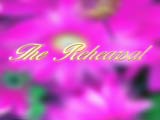 ActionBacks Wedding Motion vol.1, ������, �������, �����, ��������