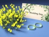 ActionBacks Wedding Motion vol.5, ������, �������, �����, ��������