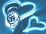ActionBacks Wedding Motion vol.7, ������, �������, �����, ��������
